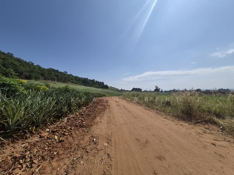 Beautiful 4-Rai Hillside Land for Sale Near Khao Tao Beach, Prachuap Khiri Khan, Wang-Pong, Pran Buri, Prachuap Khiri Khan, , 6,400 sqm, Land For Sale, by Kanokkarn Brendle, 500386468 - DDproperty.com