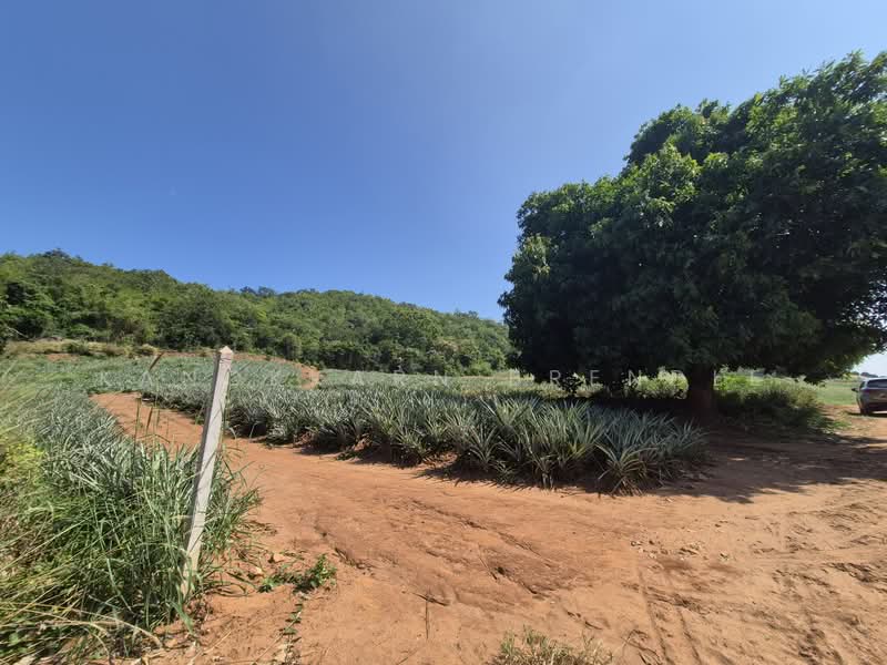 Beautiful 4-Rai Hillside Land for Sale Near Khao Tao Beach, Prachuap Khiri Khan, Wang-Pong, Pran Buri, Prachuap Khiri Khan, , 6,400 sqm, Land For Sale, by Kanokkarn Brendle, 500386468 - DDproperty.com