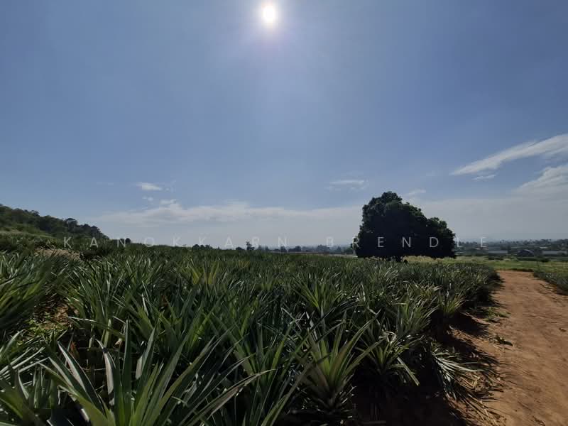 Beautiful 4-Rai Hillside Land for Sale Near Khao Tao Beach, Prachuap Khiri Khan, Wang-Pong, Pran Buri, Prachuap Khiri Khan, , 6,400 sqm, Land For Sale, by Kanokkarn Brendle, 500386468 - DDproperty.com