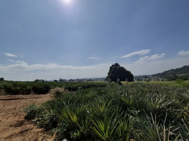 Beautiful 4-Rai Hillside Land for Sale Near Khao Tao Beach, Prachuap Khiri Khan, Wang-Pong, Pran Buri, Prachuap Khiri Khan, , 6,400 sqm, Land For Sale, by Kanokkarn Brendle, 500386468 - DDproperty.com