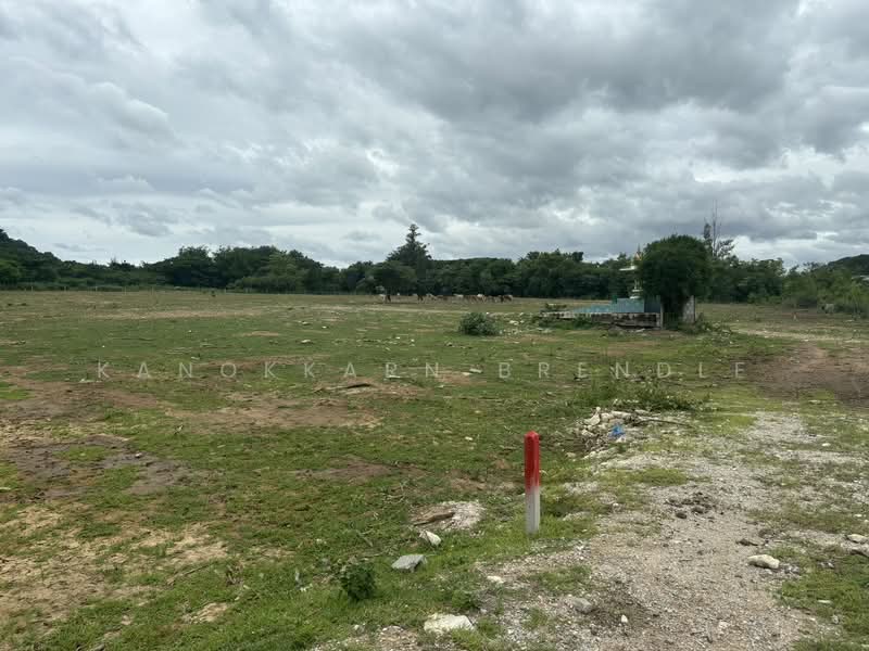 10 Rai Land for Sale in Khao Tao – Peaceful Location Near the Beach, Ideal for Investment or Holiday, Prachuap Khiri Khan, Wang-Pong, Pran Buri, Prachuap Khiri Khan, , 1,600 sqm, Land For Sale, by Kanokkarn Brendle, 500386545 - DDproperty.com