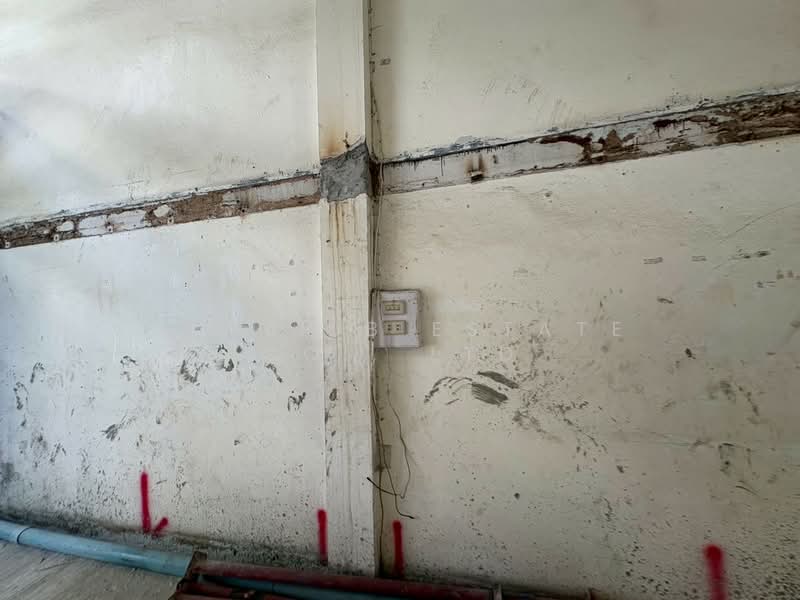 ตึกแถว สุขุมวิท99, Bangkok, สุขุมวิท, Bang Chak, Phra Khanong, Bangkok, , 120 sqm, Shophouse For Sale, by Super B Estate Co., Ltd, 500386624 - DDproperty.com