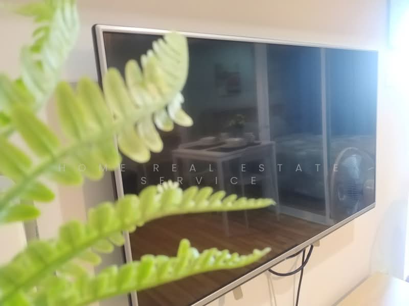 Regent Orchid Sukhumvit 101, Bangkok, Soi Punna Withi 9, Sukhumvit 101 Road, Bang Chak, Phra Khanong, Bangkok, 1 Bedroom, 28 sqm, Condo For Sale, by HOME Real Estate Service, 500386714 - DDproperty.com