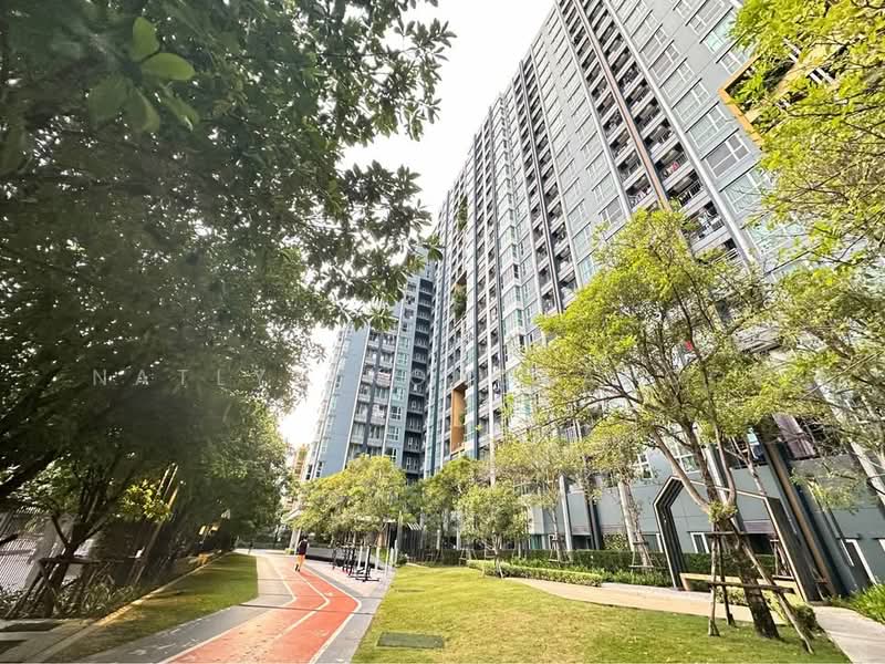 Lumpini Park Vibhavadi-Chatuchak : ลุมพินี พาร์ค วิภาวดี-จตุจักร, กรุงเทพ, ซอยวิภาวดีรังสิต 3 ถนนวิภาวดีรังสิต, จอมพล, จตุจักร, กรุงเทพ, 24 ตร.ม., คอนโด ขาย, โดย Natlyn Kongsapook, 500386755 - DDproperty.com