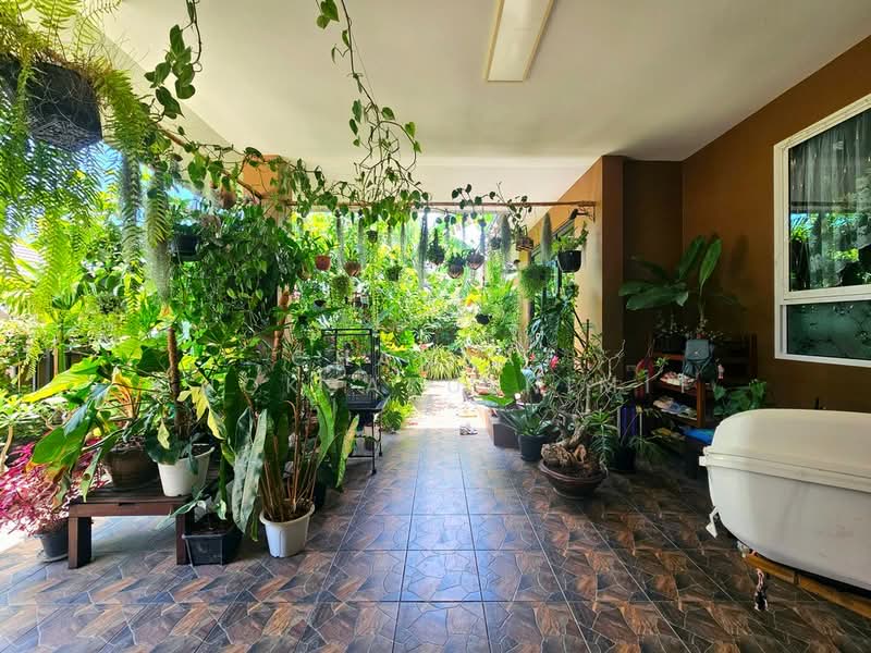 บ้านรัก ปราณบุรี, ประจวบคีรีขันธ์, วังก์พง, ปราณบุรี, ประจวบคีรีขันธ์, 72 ตร.ม., บ้านแฝด ขาย, โดย Chanpat Choksakulnimit, 500386784 - DDproperty.com