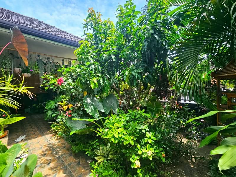 Baan Ruk Pranburi, Prachuap Khiri Khan, Wang-Pong, Pran Buri, Prachuap Khiri Khan, 2 Bedrooms, 72 sqm, Semi-Detached House (Twin House) For Sale, by Chanpat Choksakulnimit, 500386784 - DDproperty.com