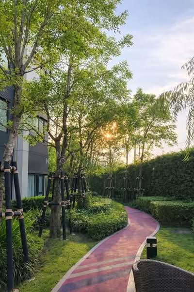 Aspire Sukhumvit-On Nut, Bangkok, Soi On Nut 21, Sukhumvit 77 Road, Suan Luang, Bangkok, 1 Bedroom, 36 sqm, Condo For Rent, by Natlyn Kongsapook, 500386789 - DDproperty.com