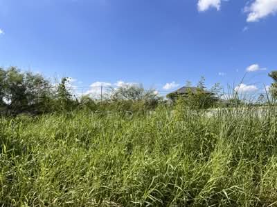 ขาย - ลำลูกกา, ปทุมธานี