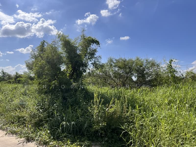 ลำลูกกา, Pathum Thani, Lat Sawai, Lam Luk Ka, Pathum Thani, , 3,160 sqm, Land For Sale, by Jedjun Kuntornwarin (Jamie), 500386853 - DDproperty.com