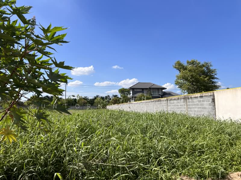 ลำลูกกา, Pathum Thani, Lat Sawai, Lam Luk Ka, Pathum Thani, , 3,160 sqm, Land For Sale, by Jedjun Kuntornwarin (Jamie), 500386853 - DDproperty.com
