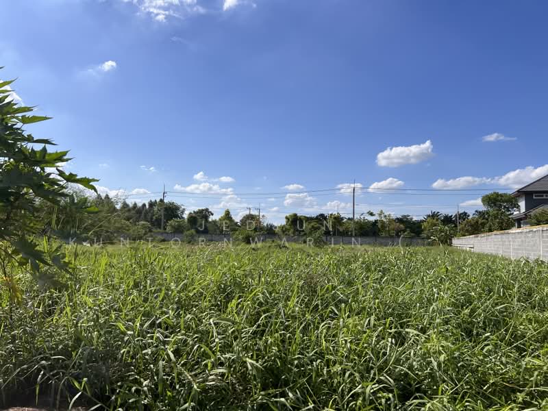 ลำลูกกา, ปทุมธานี, ลาดสวาย, ลำลูกกา, ปทุมธานี, 3,160 ตร.ม., ที่ดิน ขาย, โดย Jedjun Kuntornwarin (Jamie), 500386853 - DDproperty.com