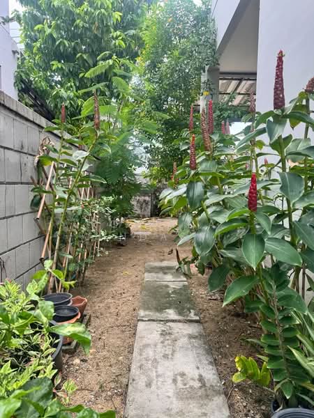 undefined, กรุงเทพ, หนองค้างพลู, หนองแขม, กรุงเทพ, 150 ตร.ม., บ้านเดี่ยว ขาย, โดย Rojjana Jindasri, 500387098 - DDproperty.com