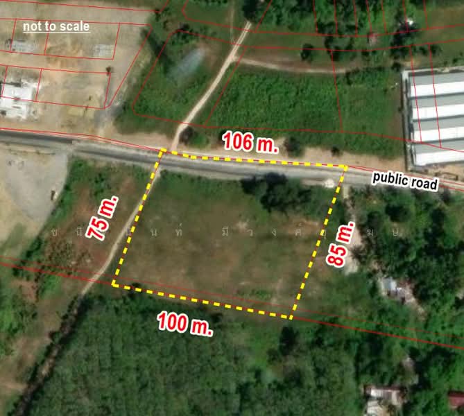 Land 5 Rai Koh Kaew Phuket among Branded Housing Projects, Phuket, Ko Kaeo, Muang Phuket, Phuket, , 8,000 sqm, Land For Sale, by Chanitnun Mewongukote, 500387304 - DDproperty.com