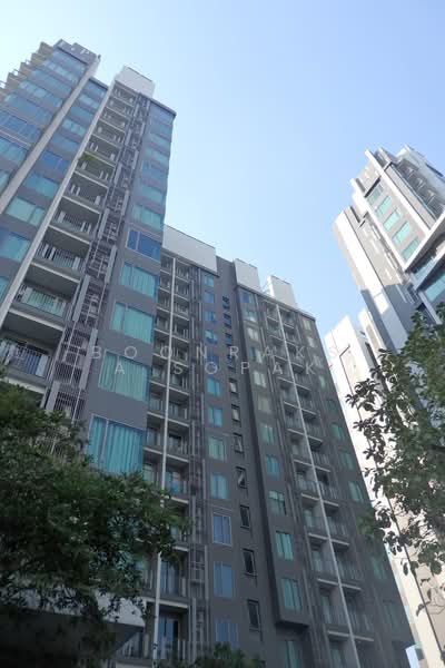 CEIL by Sansiri, Bangkok, 11 Soi Ekamai 12, Sukhumvit 63 Road, Khlong Tan Nua, Watthana, Bangkok, 1 Bedroom, 35 sqm, Condo For Rent, by Boonraksa Sopak, 500387702 - DDproperty.com