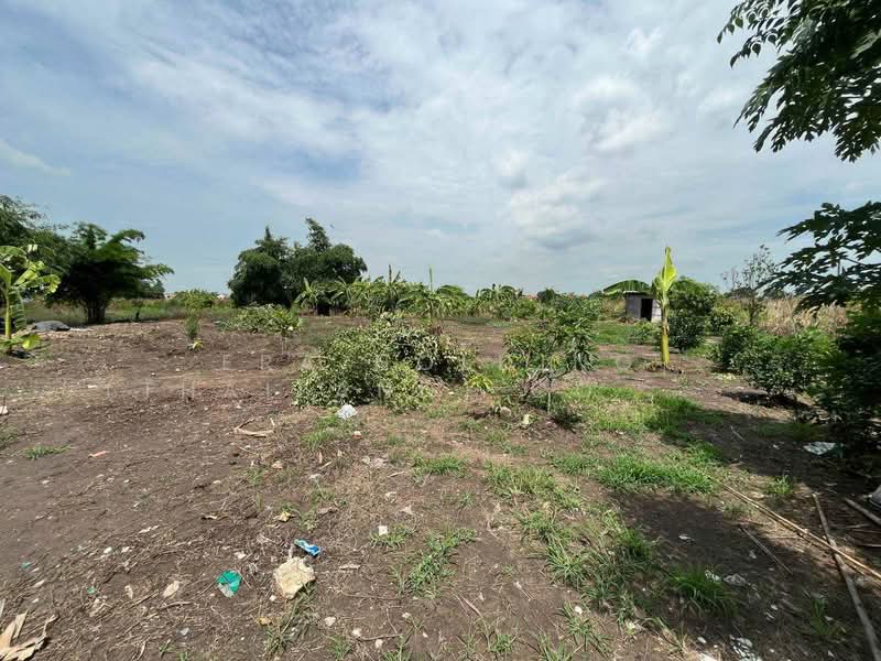 ขายที่ดินบ้านสวนแปลงใหญ่ 11 ไร่ หนองจอก ใกล้มีนบุรี แบ่งขายได้ 5 โฉนด ซอยเลียบวารี 59, กรุงเทพ, โคกแฝด, หนองจอก, กรุงเทพ, 17,608 ตร.ม., ที่ดิน ขาย, โดย ERA Holding (Thailand) Co., Ltd., 500387780 - DDproperty.com