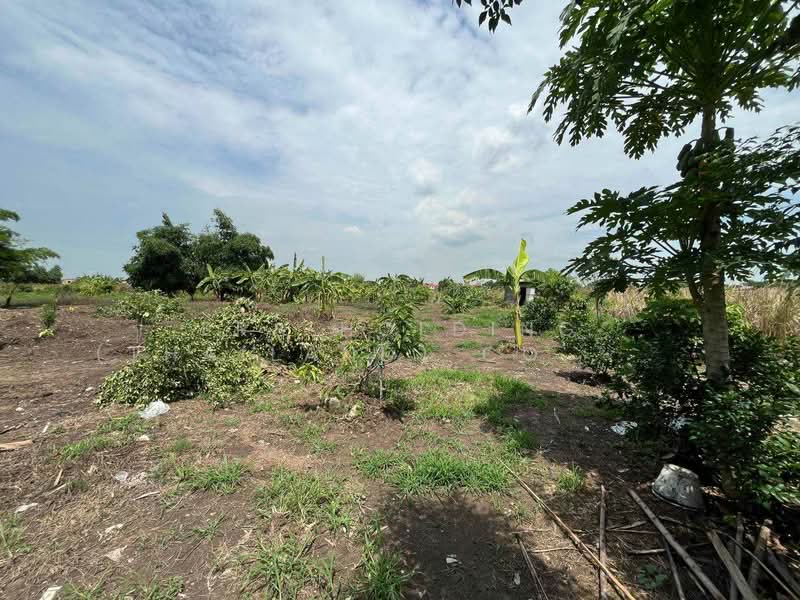 ขายที่ดินบ้านสวนแปลงใหญ่ 11 ไร่ หนองจอก ใกล้มีนบุรี แบ่งขายได้ 5 โฉนด ซอยเลียบวารี 59, Bangkok, Khok Faed, Nong Chok, Bangkok, , 17,608 sqm, Land For Sale, by ERA Holding (Thailand) Co., Ltd., 500387780 - DDproperty.com