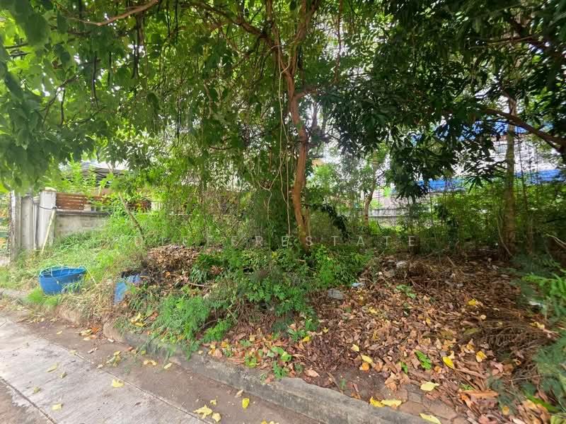 ที่ดินกฤกษดานคร18, กรุงเทพ, ตลิ่งชัน, กรุงเทพ, 284 ตร.ม., ที่ดิน ขาย, โดย DifferEstate, 500387827 - DDproperty.com