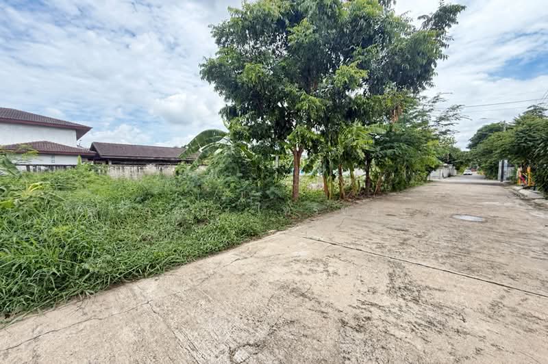 หมู่บ้านสุขทวี 1 ซอยบรมราชชนนี 74 แยก 9, กรุงเทพ, ศาลาธรรมสพน์, ทวีวัฒนา, กรุงเทพ, 200 ตร.ม., ที่ดิน ขาย, โดย สง่าชัย ไทรทองคำ, 500387833 - DDproperty.com