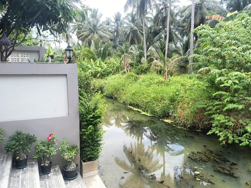 บ้านเดี่ยววัดเพลง ราชบุรี, Ratchaburi, Chom Prathat, Wat Phleng, Ratchaburi, 3 Bedrooms, 100 sqm, Single Detached House For Sale, by The Best Property ปุ๊ก, 500387857 - DDproperty.com