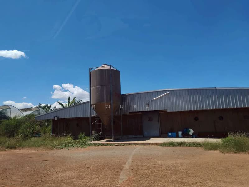 นอกโครงการราชบุรี, Ratchaburi, Chom Bung, Ratchaburi, , 163,492 sqm, Land For Sale, by คุณแจม, 500387907 - DDproperty.com