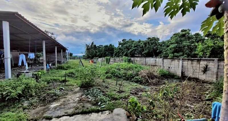 ขาย บ้านเดี่ยวโซนหางดง, เชียงใหม่, หนองตอง, หางดง, เชียงใหม่, 85 ตร.ม., บ้านเดี่ยว ขาย, โดย อามร ยืนยง, 500387910 - DDproperty.com
