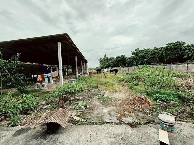 ขาย บ้านเดี่ยวโซนหางดง, เชียงใหม่, หนองตอง, หางดง, เชียงใหม่, 85 ตร.ม., บ้านเดี่ยว ขาย, โดย อามร ยืนยง, 500387910 - DDproperty.com