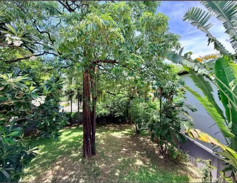Detached house for rent in Sukhumvit 50 Onnut ( SPSEVE2037 ), Bangkok, สุขุมวิท 50, Phra Kanong, Khlong Toei, Bangkok, 5 Bedrooms, 200 sqm, Single Detached House For Rent, by Khun Eve, 500388218 - DDproperty.com