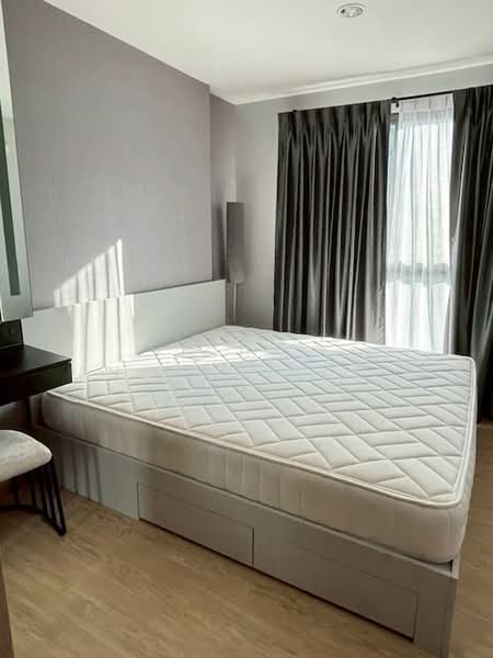 The Excel Hideaway Sukhumvit 50, Bangkok, 1112 Roem Charoen Alley, Phra Kanong, Khlong Toei, Bangkok, 2 Bedrooms, 48 sqm, Condo For Rent, by Vichai Annavakulthorn, 500388349 - DDproperty.com