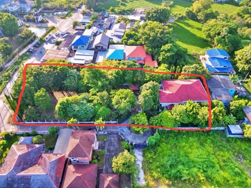 ขายที่ดิน พร้อมสิ่งปลูกสร้าง 2 ชั้น, กรุงเทพ, ดอกไม้, ประเวศ, กรุงเทพ, 2,732 ตร.ม., ที่ดิน ขาย, โดย คุณ วิญากร, 500388376 - DDproperty.com