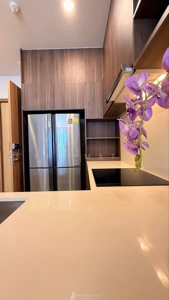 Siamese Exclusive Sukhumvit 31 : ไซมิส เอ๊กซ์ตลูซีฟ สุขุมวิท 31, กรุงเทพ, 75 ถนนสุขุมวิท 31, คลองตันเหนือ, วัฒนา, กรุงเทพ, 72 ตร.ม., คอนโด ให้เช่า, โดย PROPMATCH CO., LTD., 500388470 - DDproperty.com