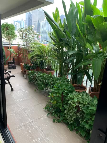 Kiarti Thanee City Mansion, Bangkok, Soi Sukhumvit 31, Khlongtoei Nua, Watthana, Bangkok, 3 Bedrooms, 195 sqm, Condo For Rent, by Boonraksa Sopak, 500388506 - DDproperty.com