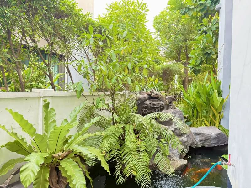 The City Ramintra-Wongwaen, Bangkok, Lieb wong wean - Thai Raman Road, Sam Wa Tawan Tok, Khlong Sam Wa, Bangkok, 4 Bedrooms, 200 sqm, Single Detached House For Rent, by Natthapong Laomahong, 500388538 - DDproperty.com