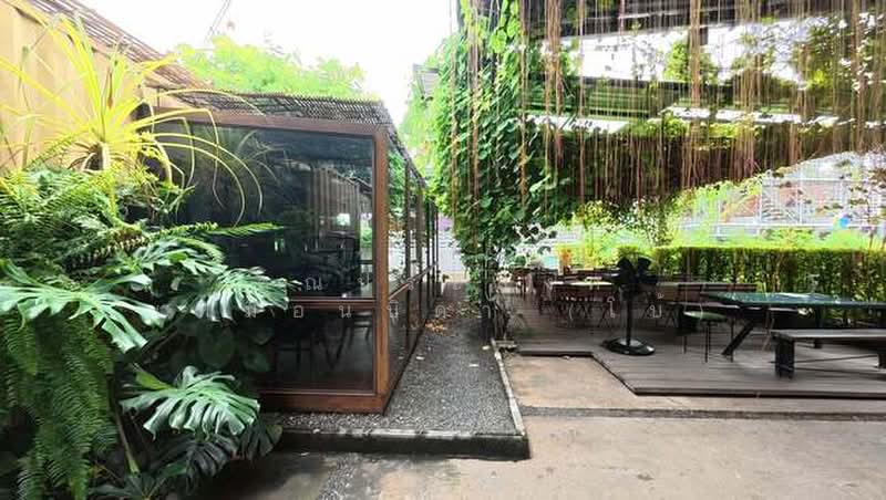 ที่ดินพร้อมอาคารสำนักงาน ถ.เทพารักษ์ ซ.เทพารักษ์ 18 ต.เทพารักษ์ อ.เมืองสมุทรปราการ จ.สมุทรปราการ, Samut Prakan, เทพารักษ์, Thepharak, Muang Samut Prakarn, Samut Prakan, , 480 sqm, Business For Sale, by คุณประสงค์ เหมือนบิดา (โบ้), 500388588 - DDproperty.com