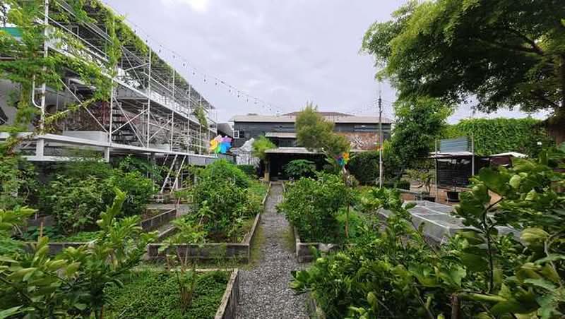 ที่ดินพร้อมอาคารสำนักงาน ถ.เทพารักษ์ ซ.เทพารักษ์ 18 ต.เทพารักษ์ อ.เมืองสมุทรปราการ จ.สมุทรปราการ, Samut Prakan, เทพารักษ์, Thepharak, Muang Samut Prakarn, Samut Prakan, , 480 sqm, Business For Sale, by คุณประสงค์ เหมือนบิดา (โบ้), 500388588 - DDproperty.com