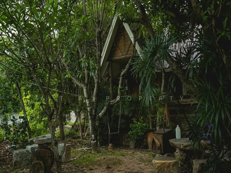 คฤหาสน์หรูสไตล์รีสอร์ท ศรีราชา-หนองขาม, Chon Buri (Pattaya), Nong - Kham, Si Racha, Chon Buri (Pattaya), 6 Bedrooms, 1,000 sqm, Villa For Sale, by A.T.A. Property, 500388710 - DDproperty.com
