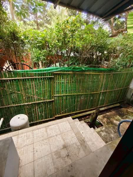 Changphueak, Chiang Mai, Chang Phuak, Muang Chiang Mai, Chiang Mai, 3 Bedrooms, 160 sqm, Townhouse For Rent, by วุฒิภัทร มิ่งคำ, 500389008 - DDproperty.com