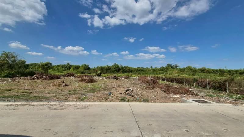 ที่ดินเปล่า 400 ตร.ว. ที่ดิน ซอยคลองสาม11/13 (ซอยเจียระไน), ปทุมธานี, ถนนเลียบคลองสาม, คลองสาม, คลองหลวง, ปทุมธานี, 1,600 ตร.ม., ที่ดิน ขาย, โดย คุณ ดารุณีย์ ชูวงค์จิราภัทร์ (โรส), 500389046 - DDproperty.com