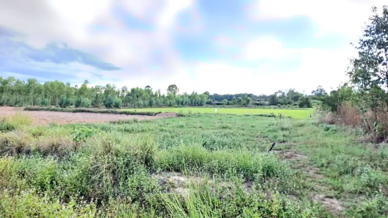 ที่ดินโพนทอง ร้อยเอ็ด, ร้อยเอ็ด, สระนกแก้ว, โพนทอง, ร้อยเอ็ด, 14,272 ตร.ม., ที่ดิน ขาย, โดย The Best Property ทองใบ, 500389171 - DDproperty.com