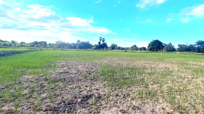 ที่ดินโพนทอง ร้อยเอ็ด, Roi Et, Sra Nok Kaeo, Phon Thong, Roi Et, , 14,272 sqm, Land For Sale, by The Best Property ทองใบ, 500389171 - DDproperty.com