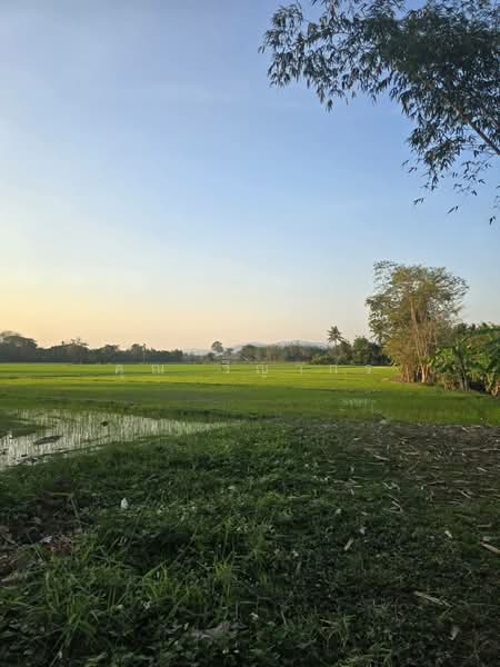 ขายที่ดินสวย บ้านร้องขี้เหล็ก ติดถนน ติดน้ำไหลตลอดปี ทำเลศักยภาพสูง (วงแหวนรอบ 4 ตัดผ่านที่ดิน), เชียงใหม่, เชิงดอย, ดอยสะเก็ด, เชียงใหม่, 11,108 ตร.ม., ที่ดิน ขาย, โดย คุณ วิญากร, 500389208 - DDproperty.com