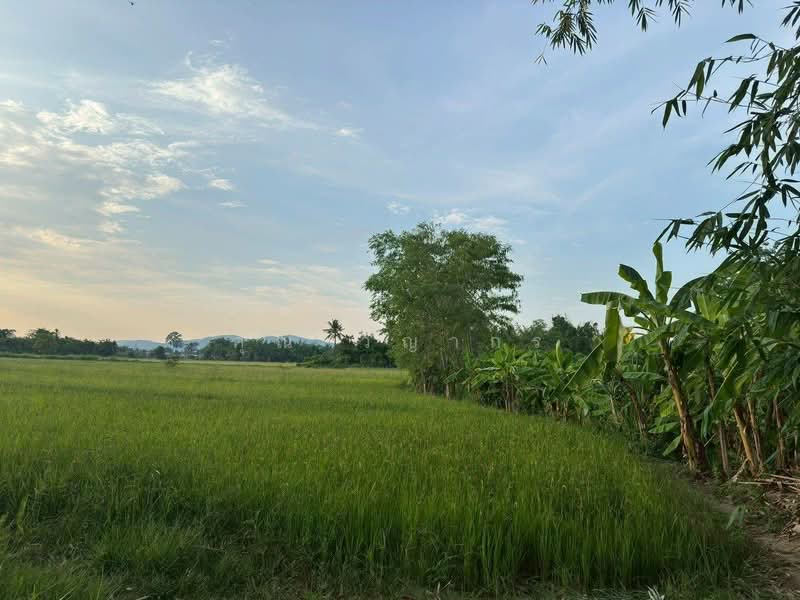 ขายที่ดินสวย บ้านร้องขี้เหล็ก ติดถนน ติดน้ำไหลตลอดปี ทำเลศักยภาพสูง (วงแหวนรอบ 4 ตัดผ่านที่ดิน), Chiang Mai, Choeng Doi, Doi Saket, Chiang Mai, , 11,108 sqm, Land For Sale, by คุณ วิญากร, 500389208 - DDproperty.com