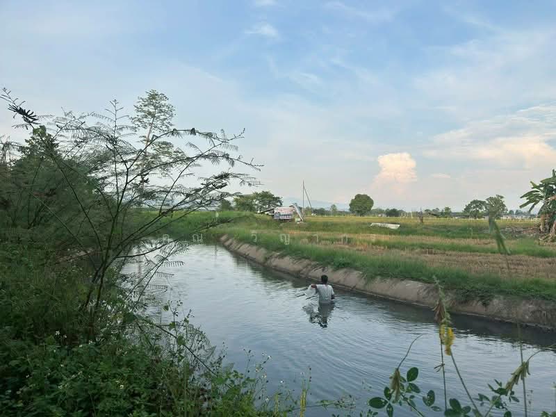 ขายที่ดินสวย บ้านร้องขี้เหล็ก ติดถนน ติดน้ำไหลตลอดปี ทำเลศักยภาพสูง (วงแหวนรอบ 4 ตัดผ่านที่ดิน), Chiang Mai, Choeng Doi, Doi Saket, Chiang Mai, , 11,108 sqm, Land For Sale, by คุณ วิญากร, 500389208 - DDproperty.com