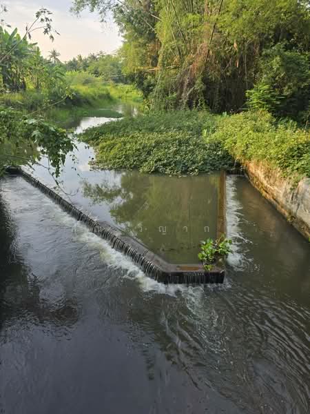 ขายที่ดินสวย บ้านร้องขี้เหล็ก ติดถนน ติดน้ำไหลตลอดปี ทำเลศักยภาพสูง (วงแหวนรอบ 4 ตัดผ่านที่ดิน), Chiang Mai, Choeng Doi, Doi Saket, Chiang Mai, , 11,108 sqm, Land For Sale, by คุณ วิญากร, 500389208 - DDproperty.com