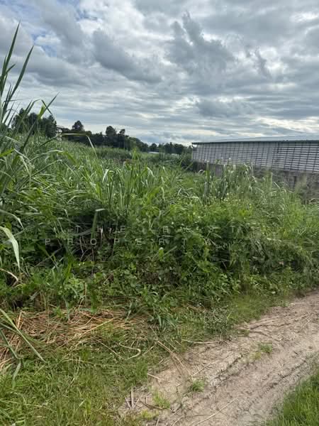 ที่ดินสันป่าตอง เชียงใหม่, Chiang Mai, Yu Wa, San Pa Tong, Chiang Mai, , 876 sqm, Land For Sale, by The Best Property   รัตน์, 500389219 - DDproperty.com