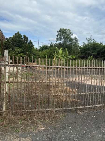 ที่ดินสันป่าตอง เชียงใหม่, Chiang Mai, Yu Wa, San Pa Tong, Chiang Mai, , 876 sqm, Land For Sale, by The Best Property   รัตน์, 500389219 - DDproperty.com