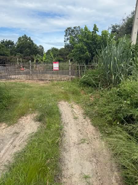 ที่ดินสันป่าตอง เชียงใหม่, Chiang Mai, Yu Wa, San Pa Tong, Chiang Mai, , 876 sqm, Land For Sale, by The Best Property   รัตน์, 500389219 - DDproperty.com