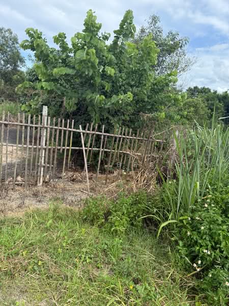 ที่ดินสันป่าตอง เชียงใหม่, Chiang Mai, Yu Wa, San Pa Tong, Chiang Mai, , 876 sqm, Land For Sale, by The Best Property   รัตน์, 500389219 - DDproperty.com