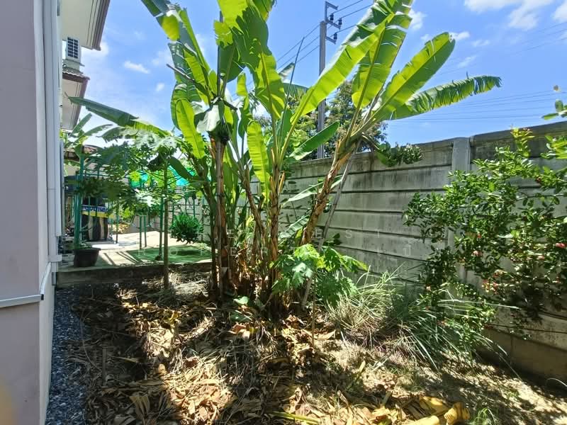 เปี่ยมภิรมย์รีสอร์ท หนองจอก, กรุงเทพ, หนองจอก, หนองจอก, กรุงเทพ, 150 ตร.ม., บ้านเดี่ยว ขาย, โดย The Best Property เปิ้ล, 500389237 - DDproperty.com