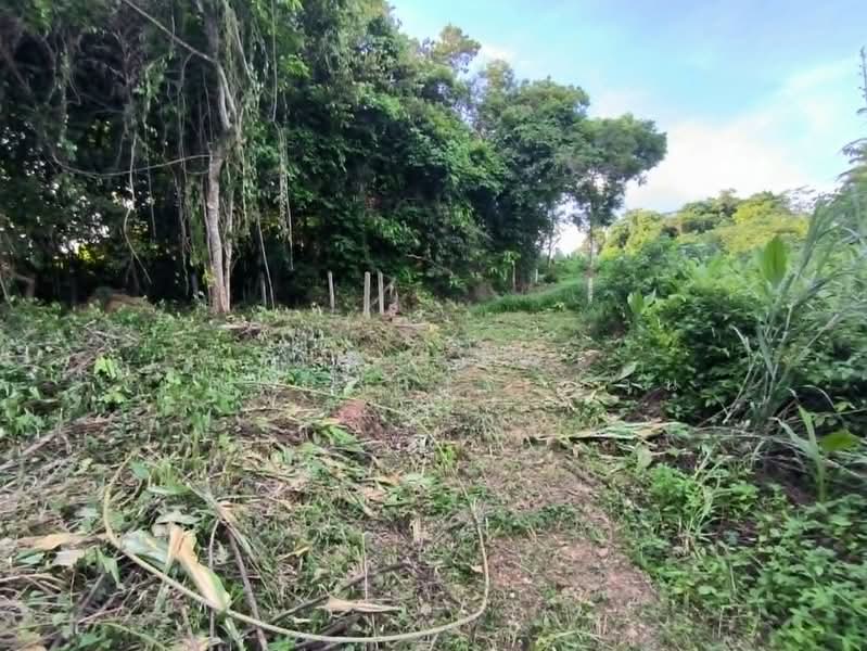 ที่ดินท่าช้าง จันทบุรี, Chanthaburi, Tha Chang, Muang Chanthaburi, Chanthaburi, , 400 sqm, Land For Sale, by The Best Property อ้วน, 500389277 - DDproperty.com