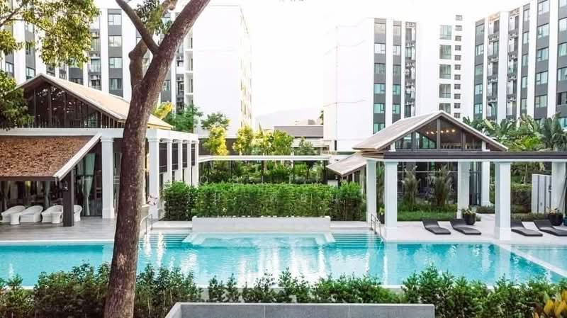 Escent Park Ville, Chiang Mai, 80 Soi Mae Khao Mu 4 Alley, Fa Ham, Muang Chiang Mai, Chiang Mai, 1 Bedroom, 33 sqm, Condo For Rent, by The Positive ที่ดิน บ้าน คอนโด, 500389307 - DDproperty.com